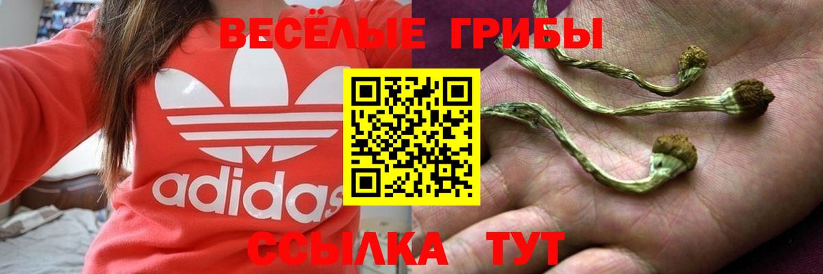 Псилоцибиновые грибы MAGIC MUSHROOMS  Вход с VPN  Галлюциногенные грибы ЛСД  Карабулак 